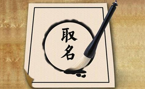 軟件開發(fā)公司取名字