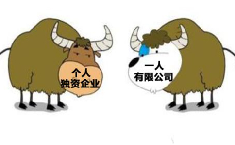 個人獨(dú)資企業(yè)與一人有限公司區(qū)別