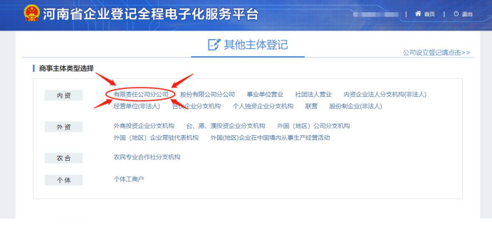 河南省營(yíng)業(yè)執(zhí)照網(wǎng)上申報(bào)選擇有限責(zé)任分公司注冊(cè)